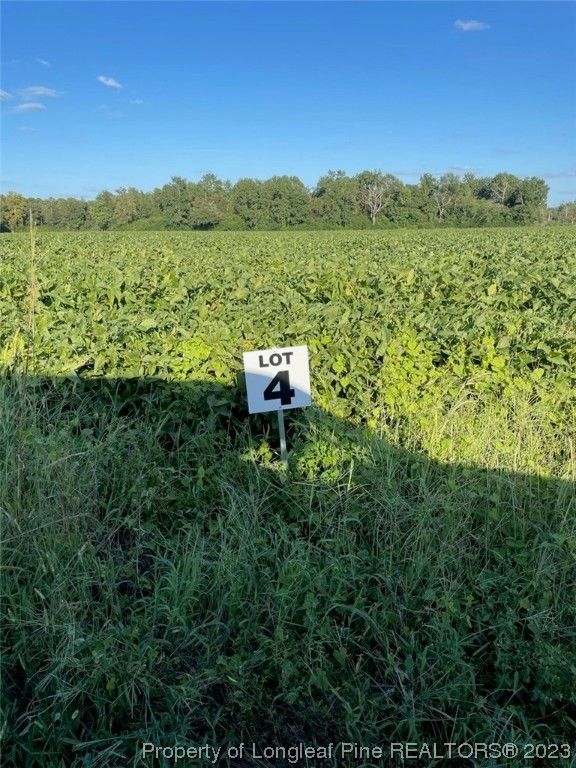 3.08 acres in Sampson County, North Carolina