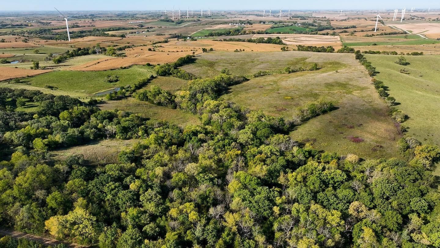 79 acres in Adams County, Iowa