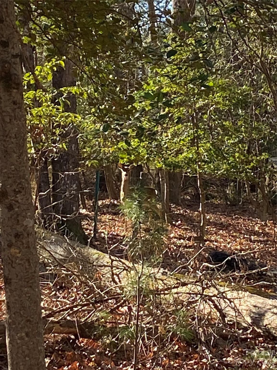 1 acres in County, North Carolina