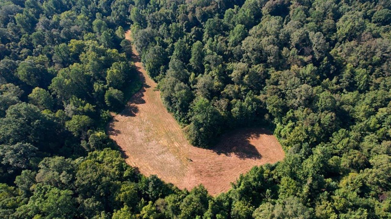 227 acres in Warren County, Mississippi