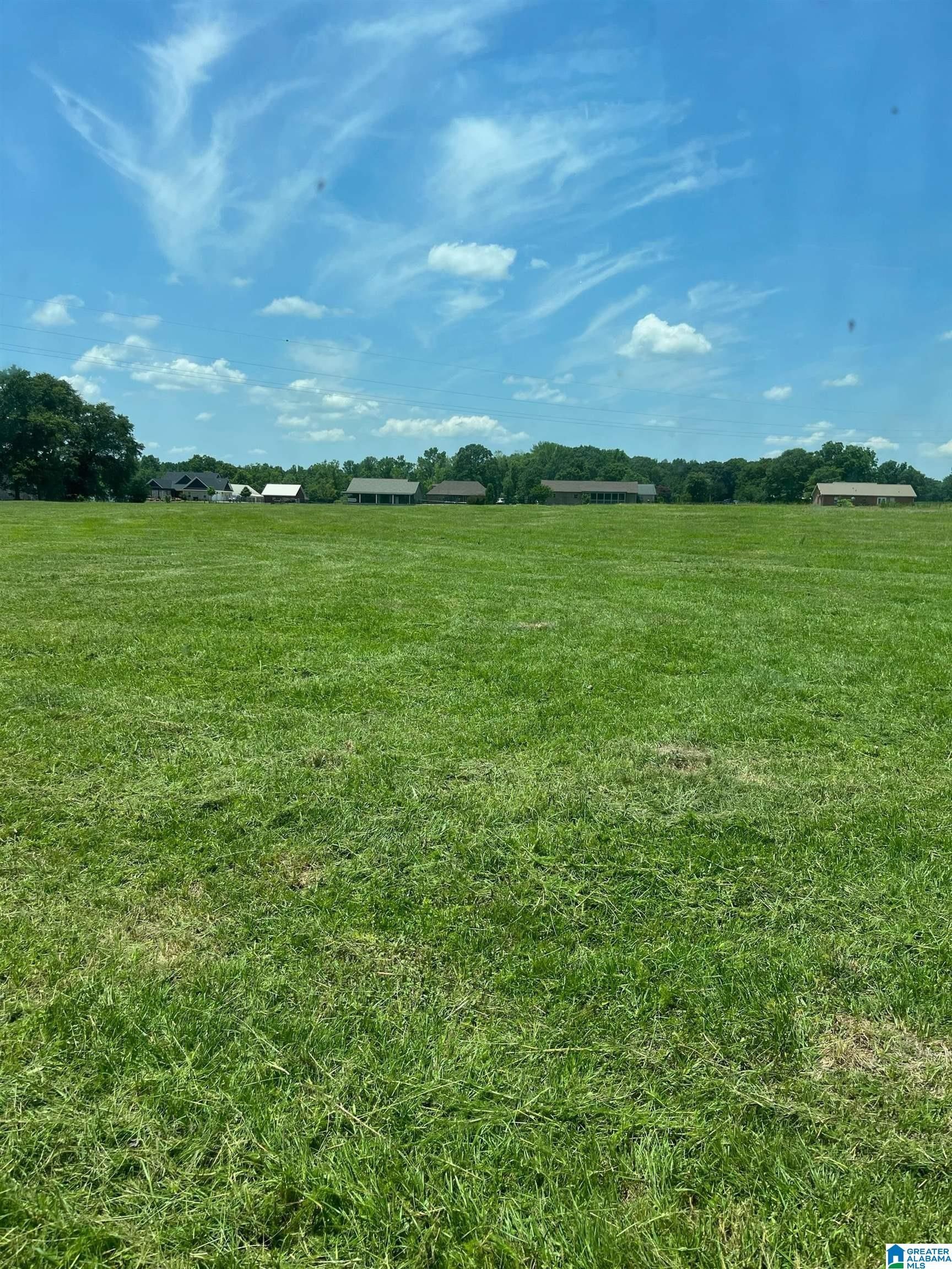 Chilton County Inmatestimeline Videos - f45vsfo