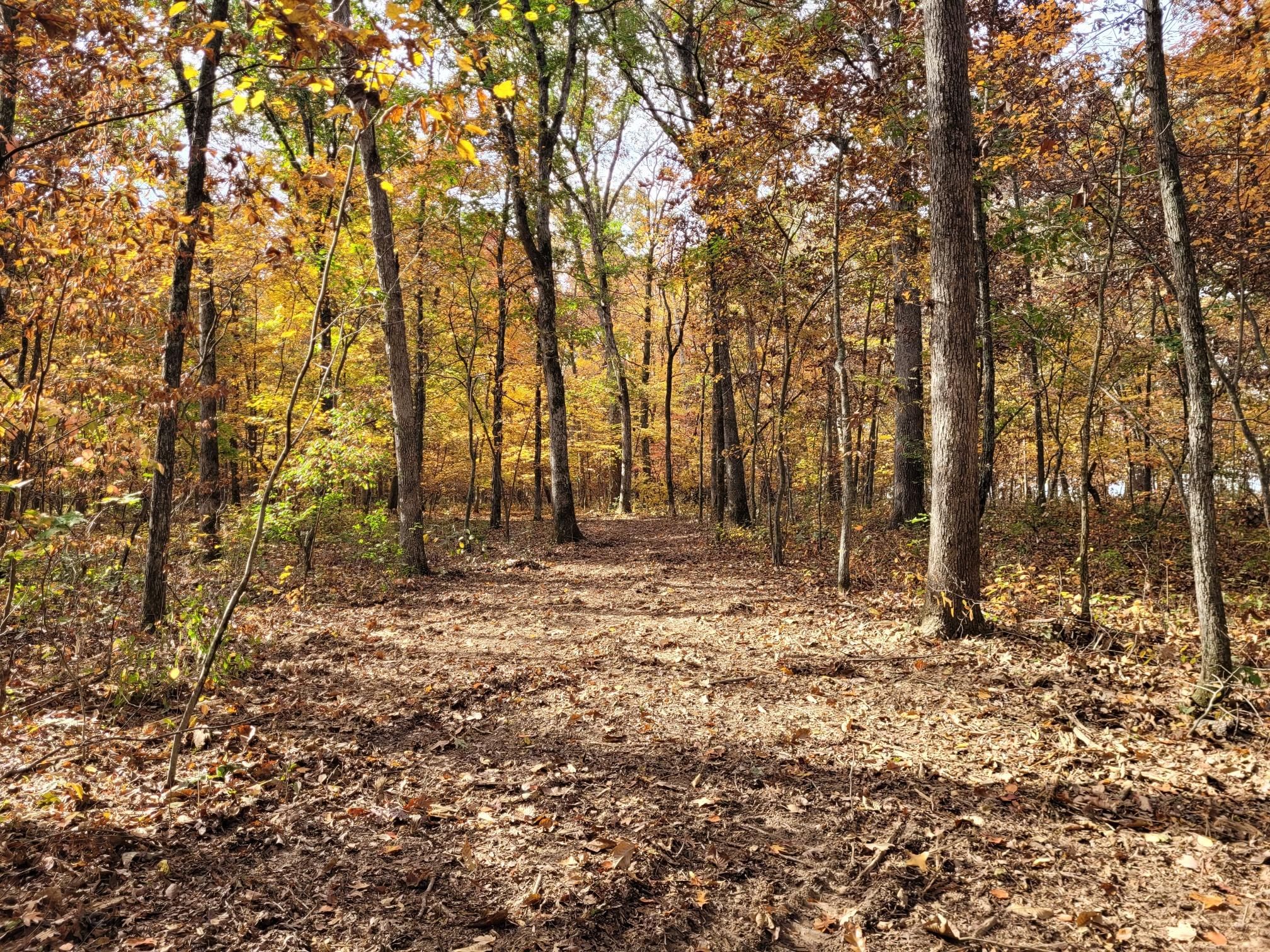 10 acres in Lincoln County, Missouri