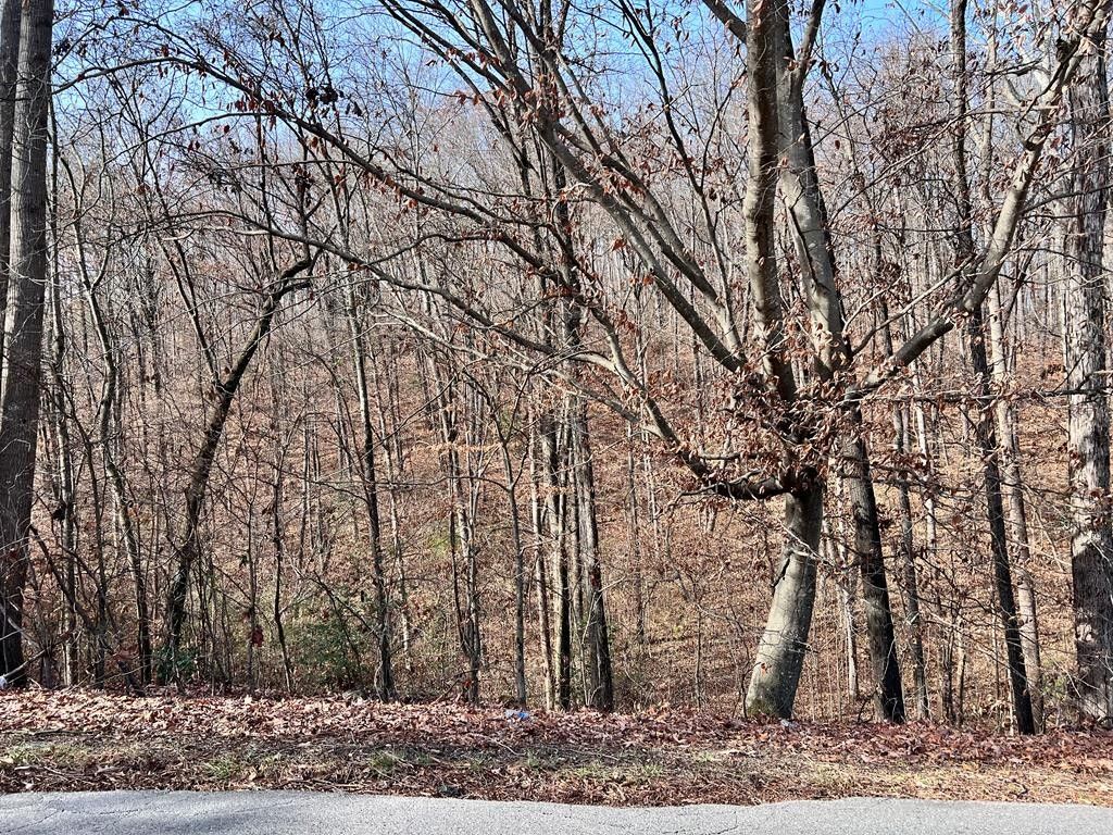 4.73 acres in Whitfield County,