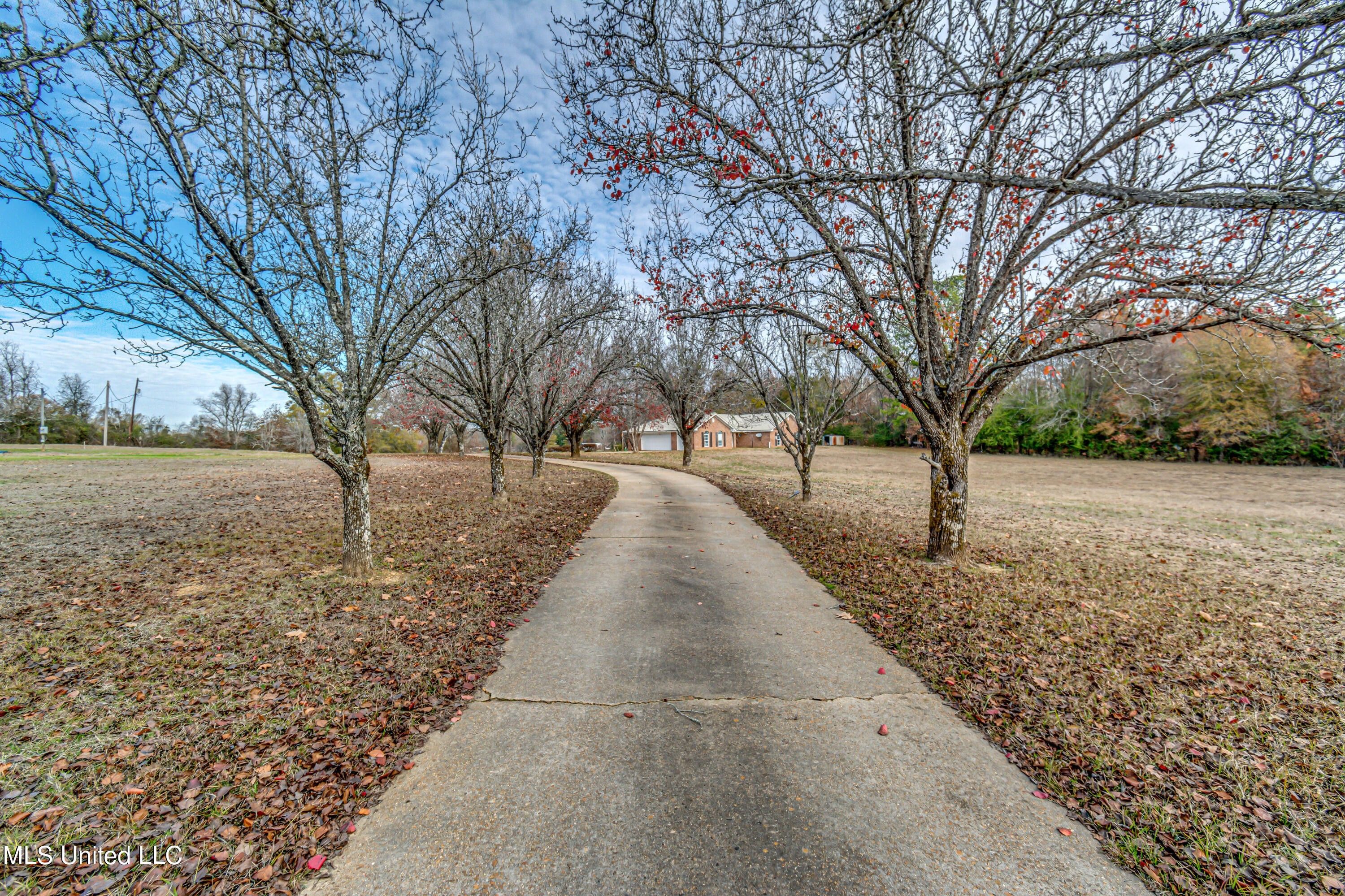 5 acres in Hinds County, Mississippi