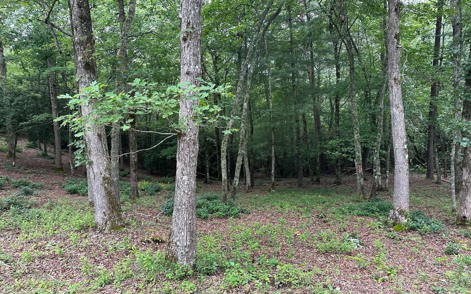 1 acres in Clay County, North Carolina