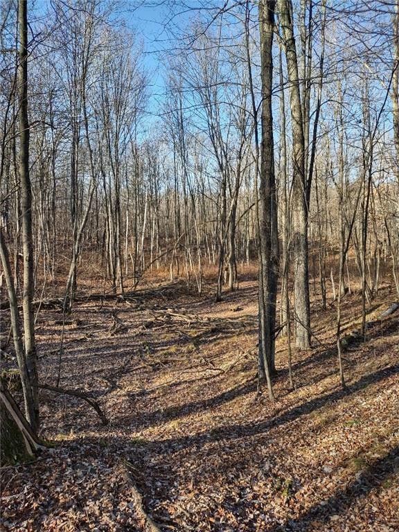 14.97 acres in Washburn County, Wisconsin