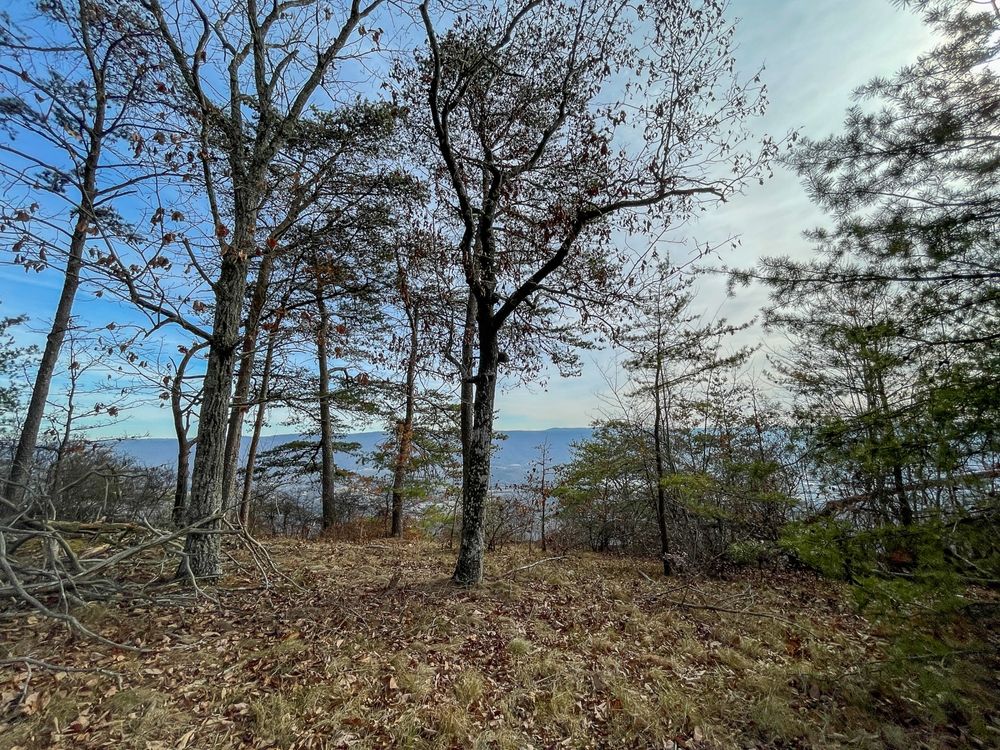 1.4 acres in Dade County,