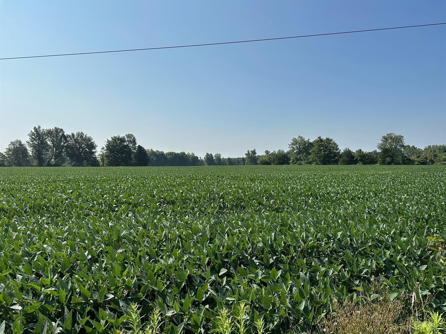 3 acres in Brown County, Ohio