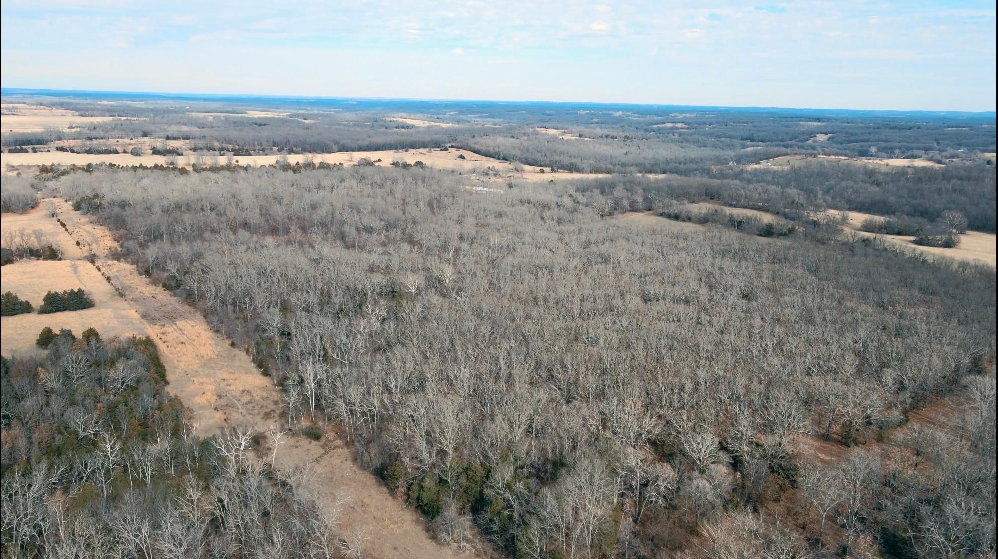 81.4 acres in Wright County, Missouri