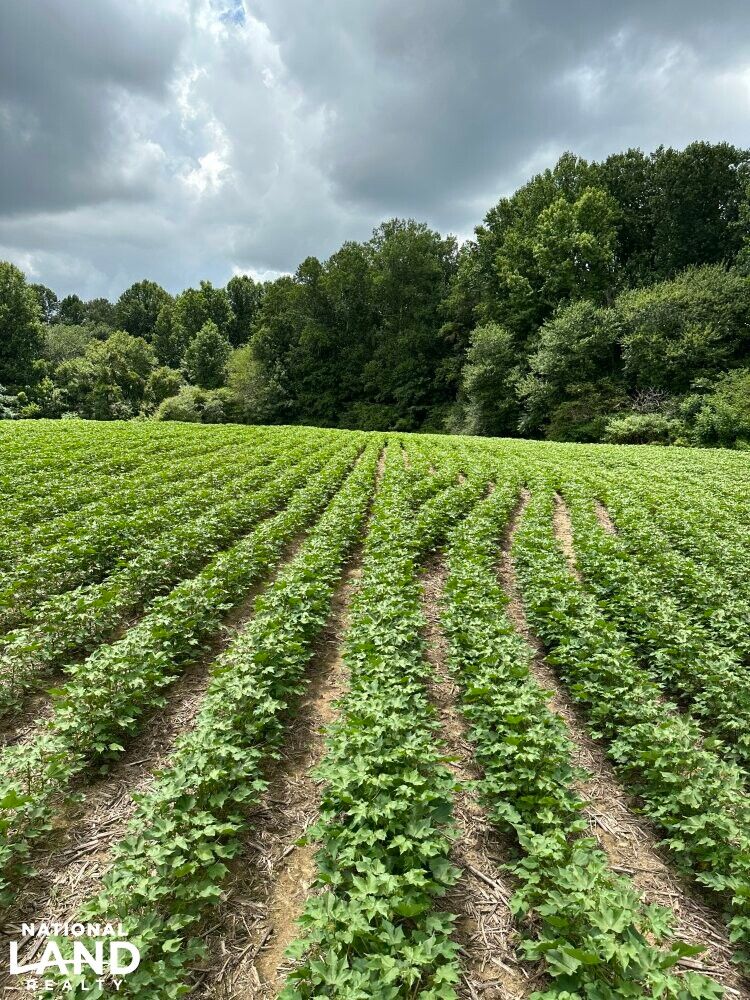 36.1 acres in Jackson County, Alabama