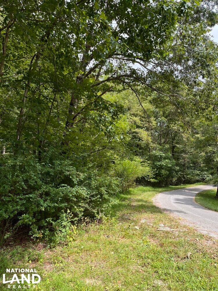 36 acres in Grundy County, Tennessee