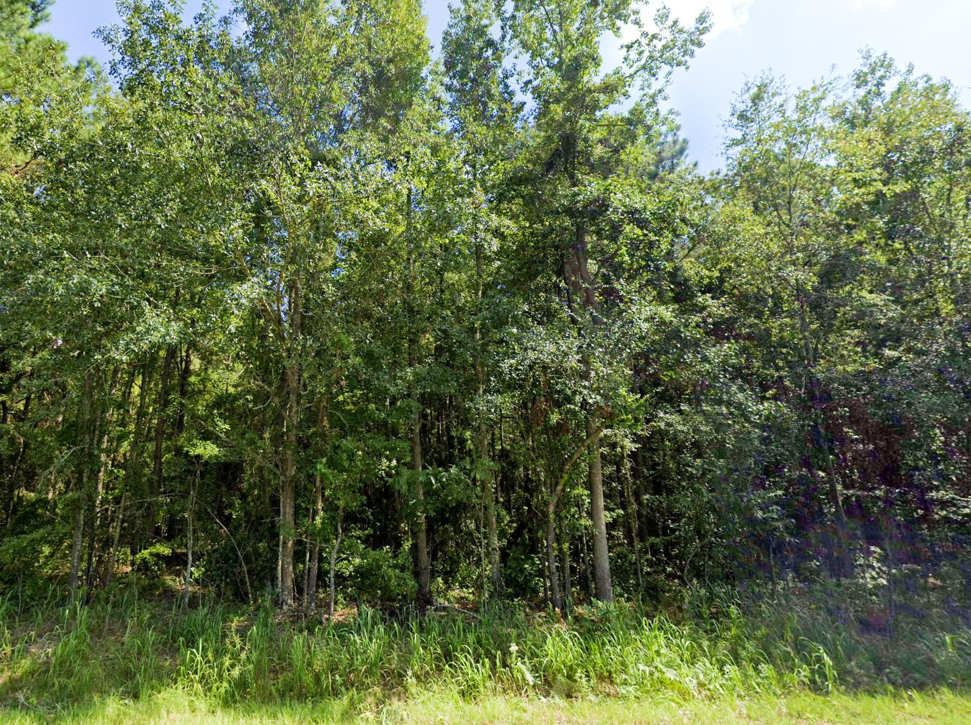 Jenkinson Rd, Pinewood, SC 29125