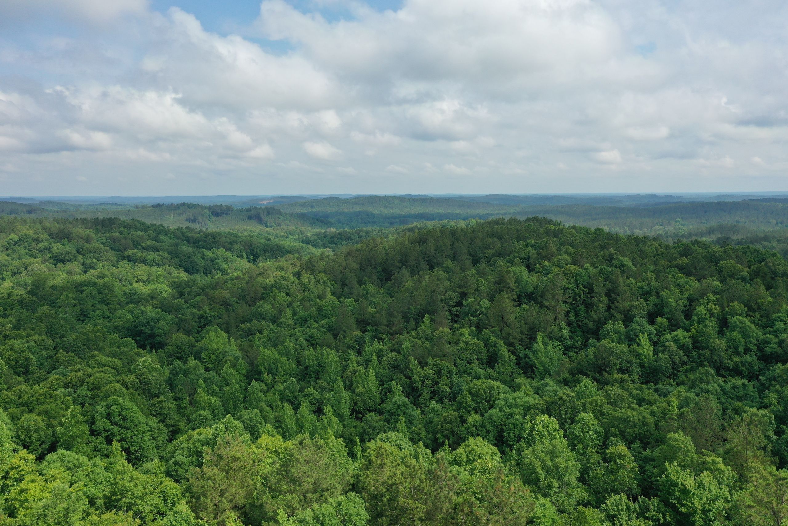 125 acres in Montgomery County, Mississippi