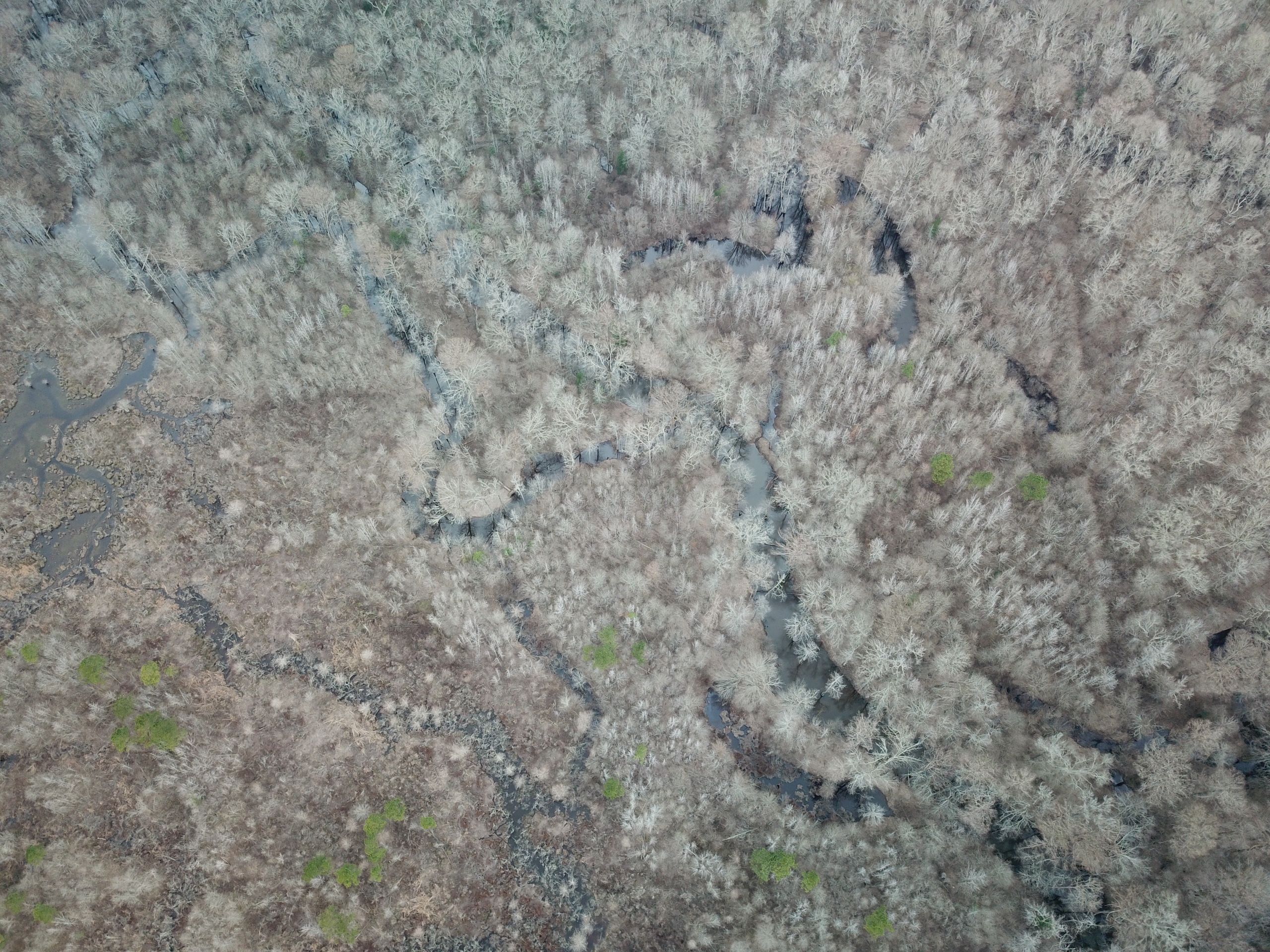 Highway 167 Lot Wp001, Spearsville, LA 71277