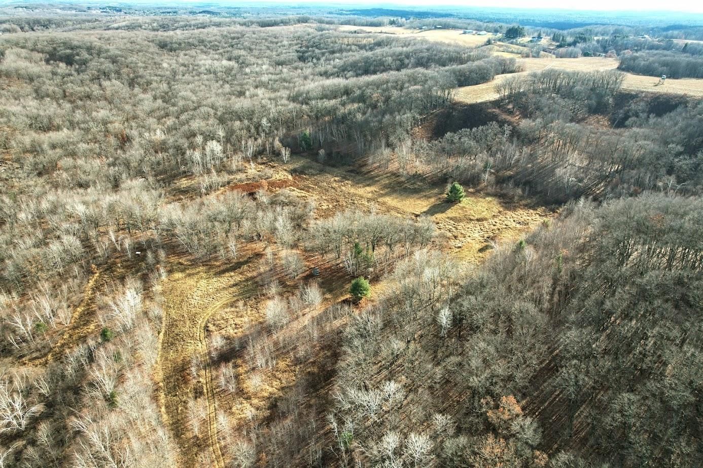 40 acres in Eau Claire County, Wisconsin