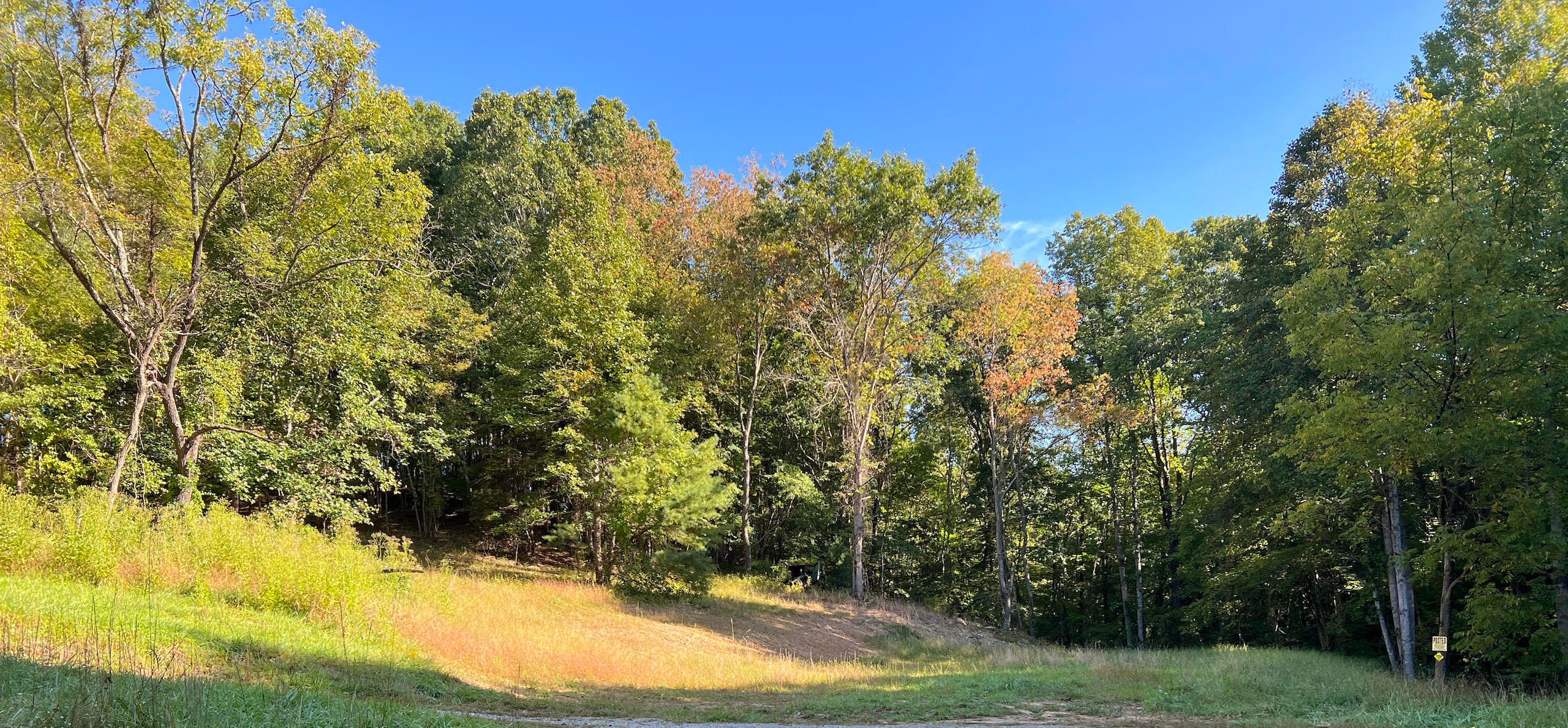 Haynes Road, LotWP001, Pulaski, VA 24301