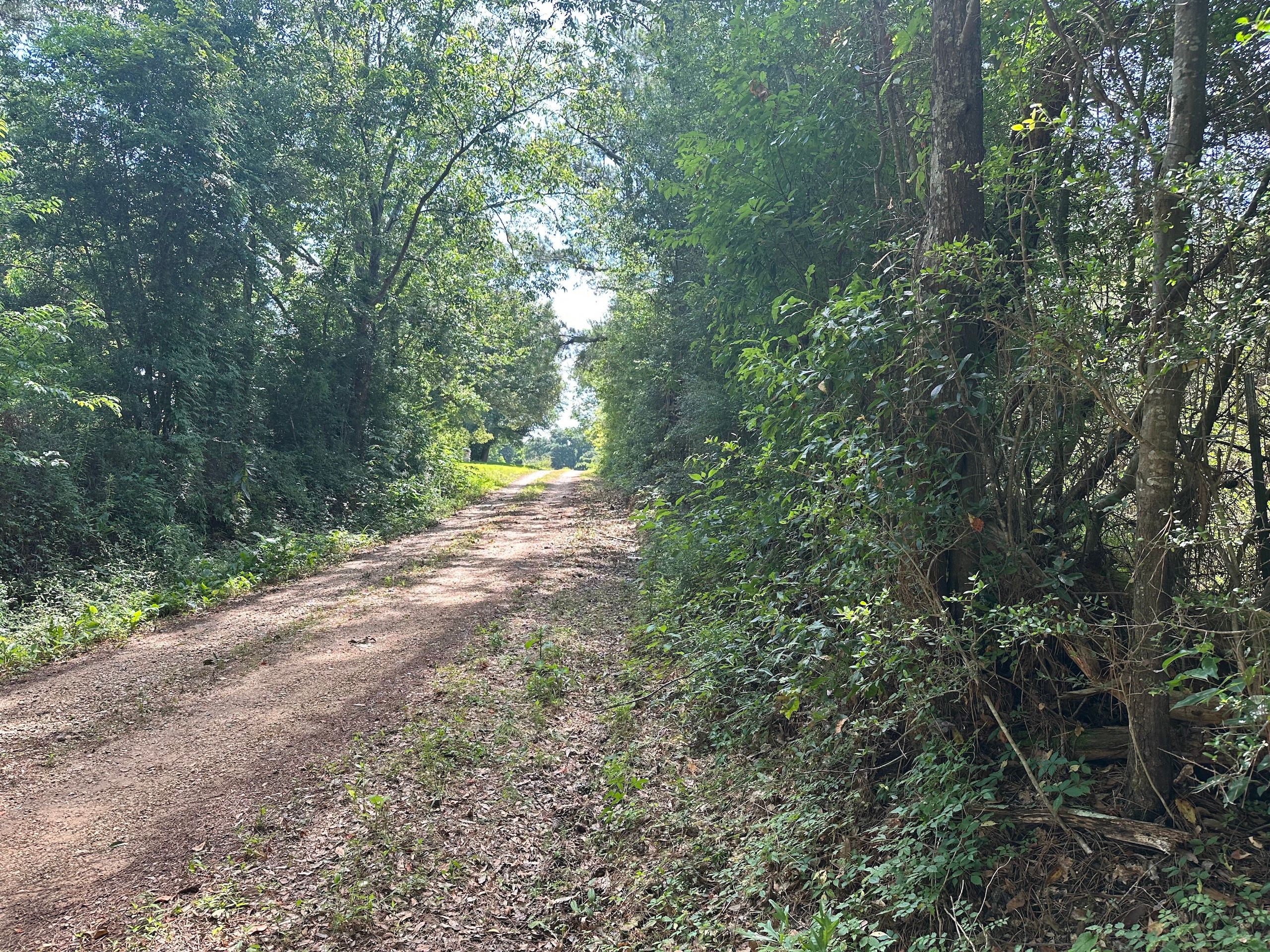 32.16 acres in Washington Parish, Louisiana