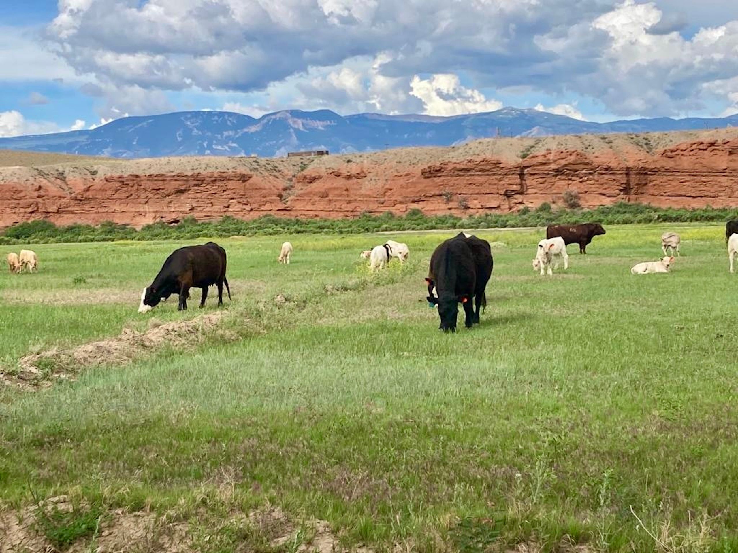 380 acres in Big Horn County, Wyoming