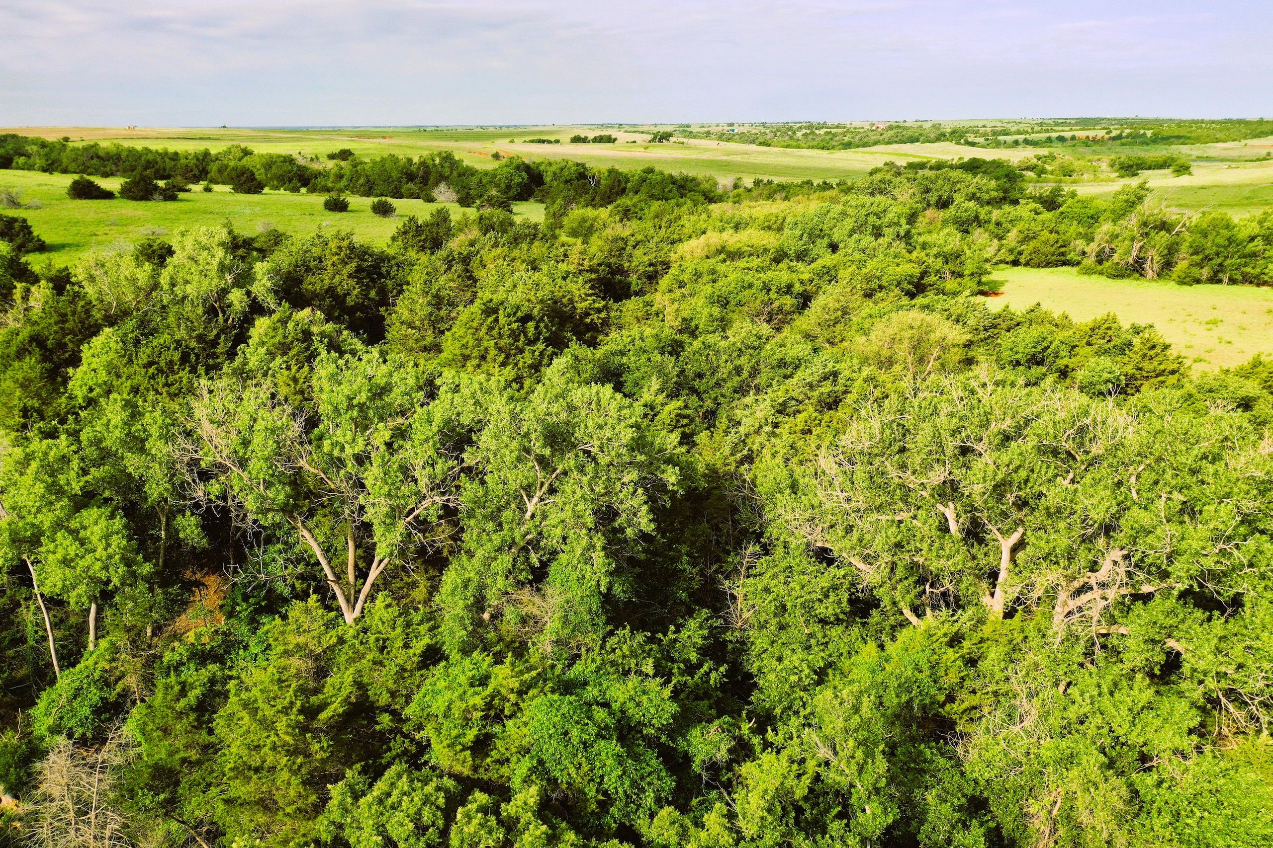 154 acres in Dewey County, Oklahoma