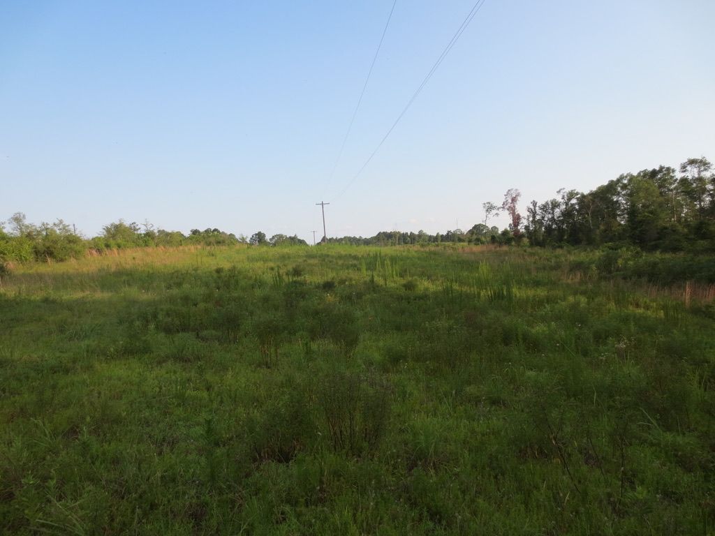 20 acres in Walthall County, Mississippi