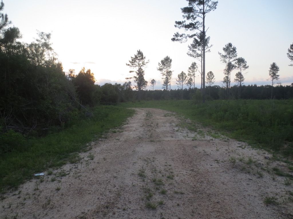 15 acres in Walthall County, Mississippi