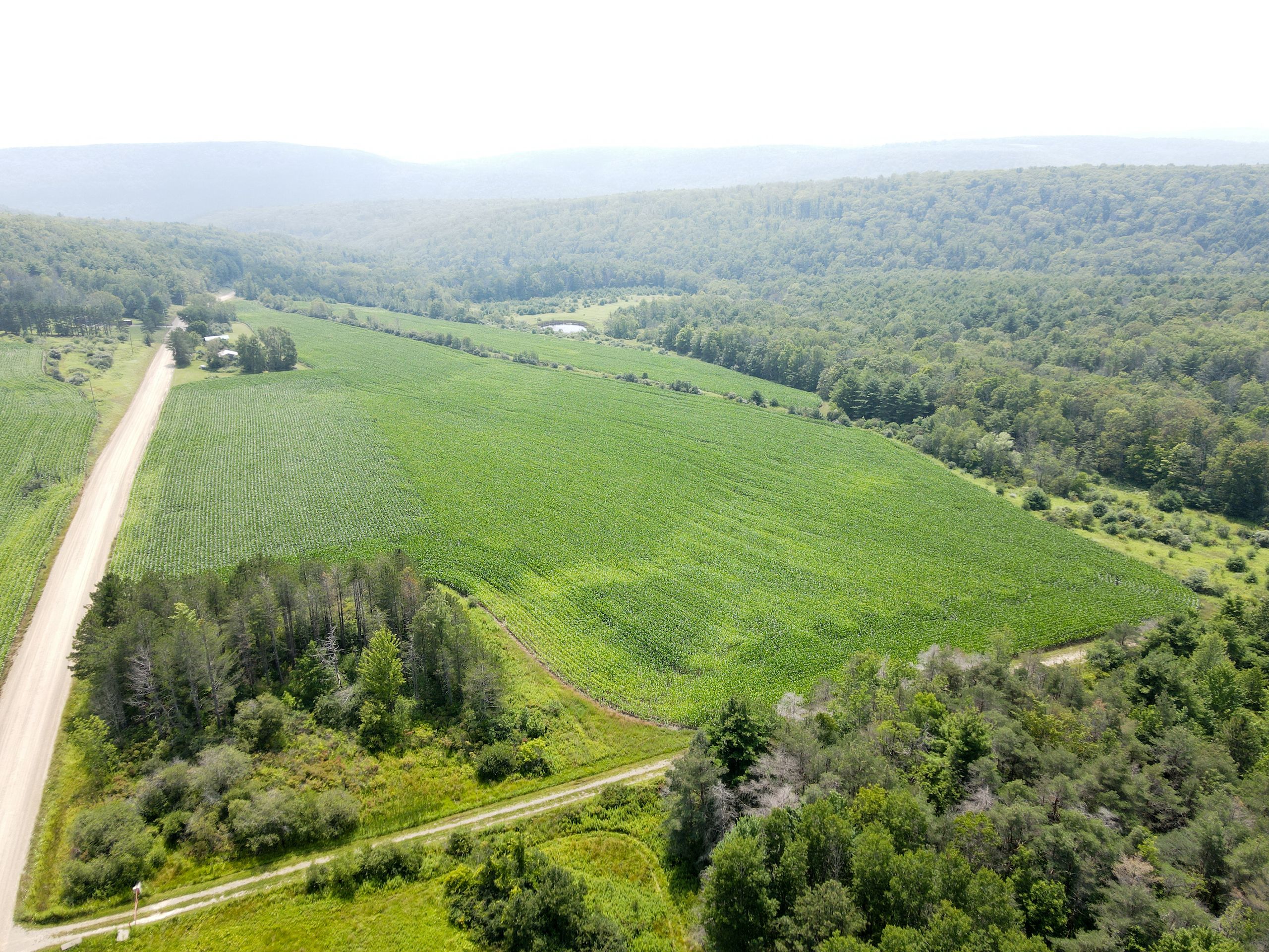 10 acres in Steuben County, New York
