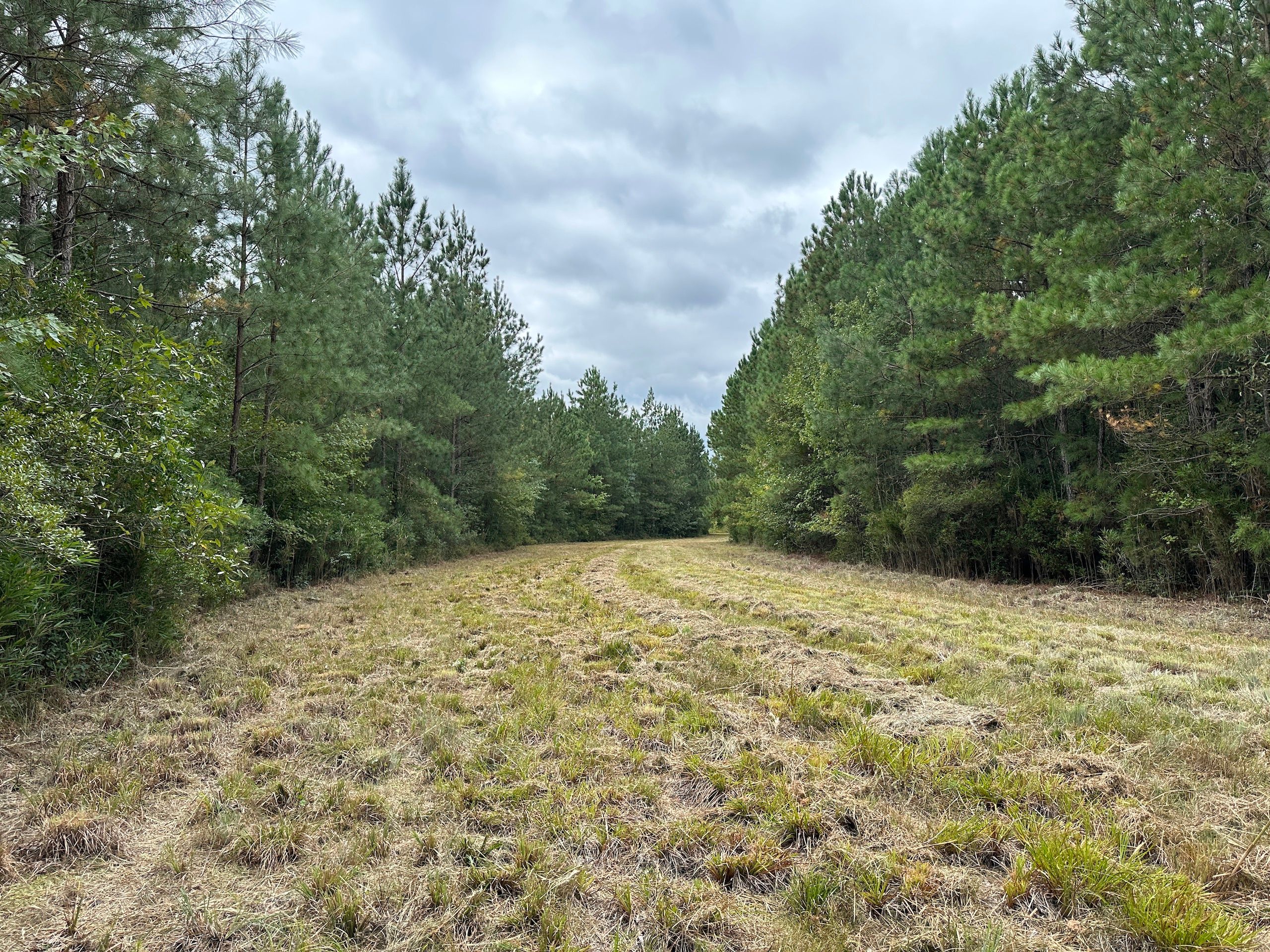 Off NC HWY 111, LotWP001, Stantonsburg, NC 27883