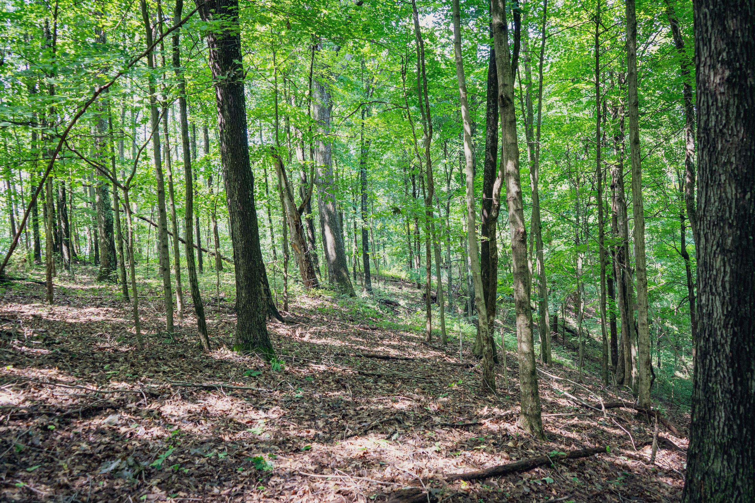 67.33 acres in Harrison County, West Virginia