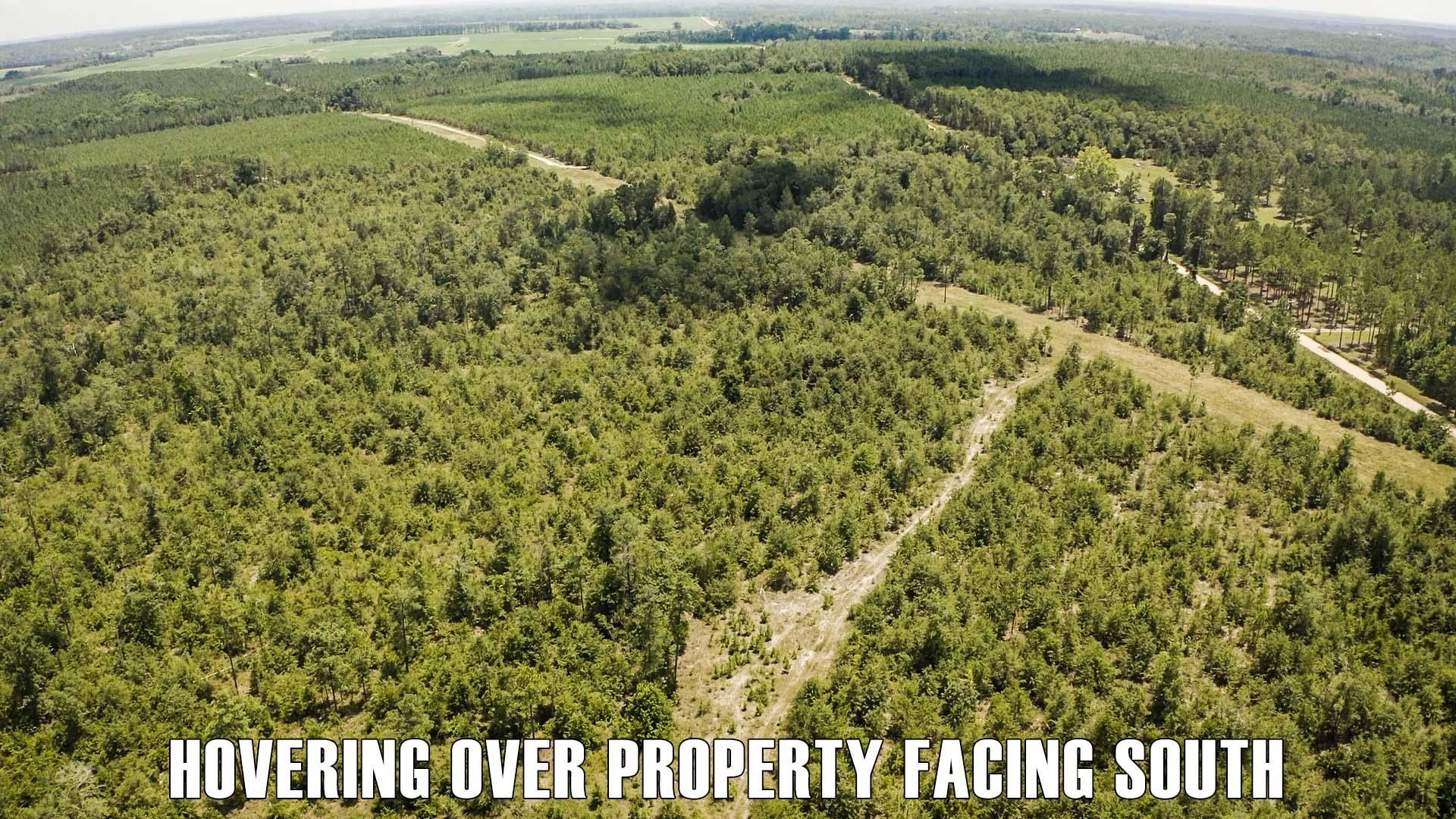 10 acres in Dodge County,