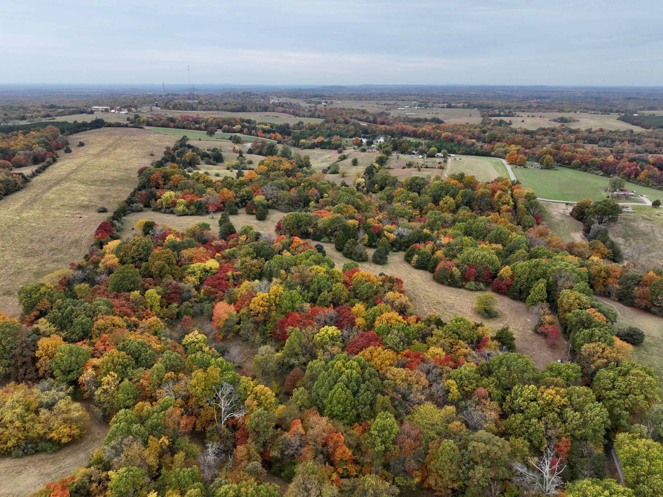 33 acres in Johnson County, Illinois