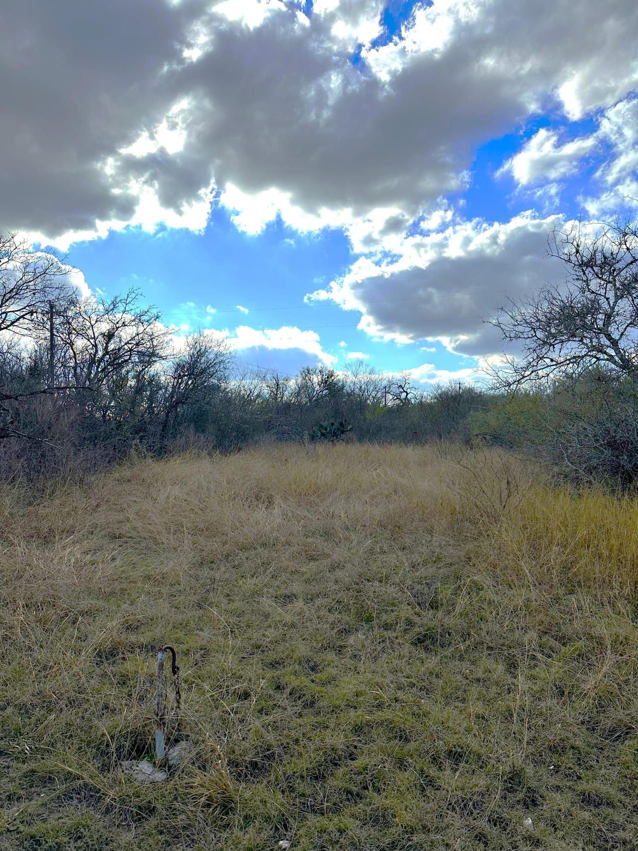 0 Kings Lane, Tuleta, TX 78102