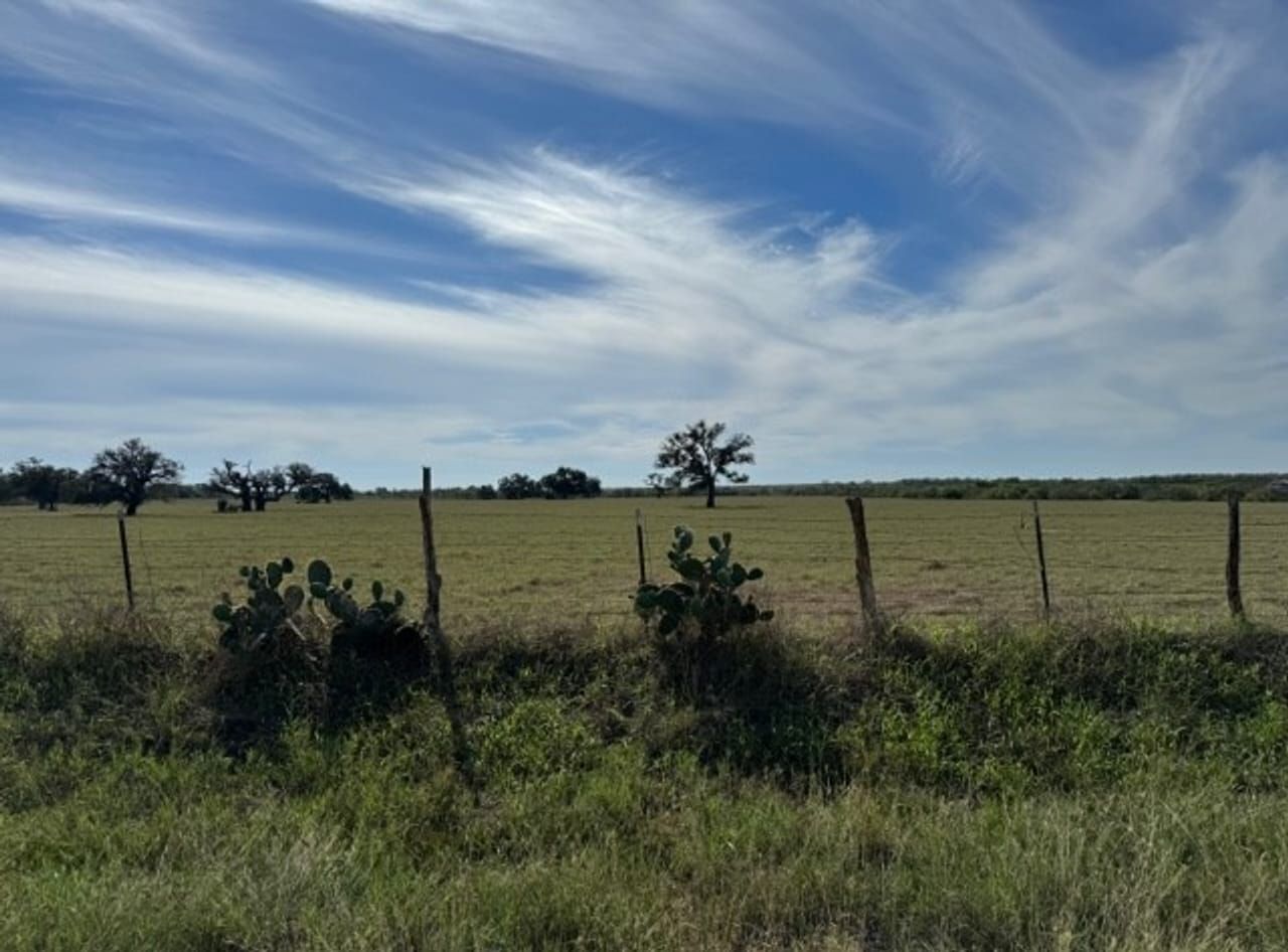 286 acres in Wilson County, Texas