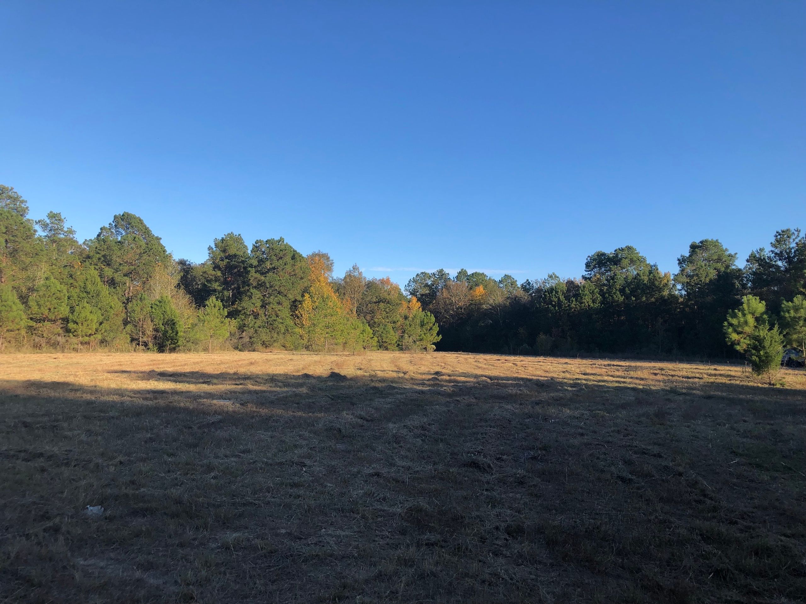 Crabapple Rd. Lot Wp0001, Iota, LA 70543