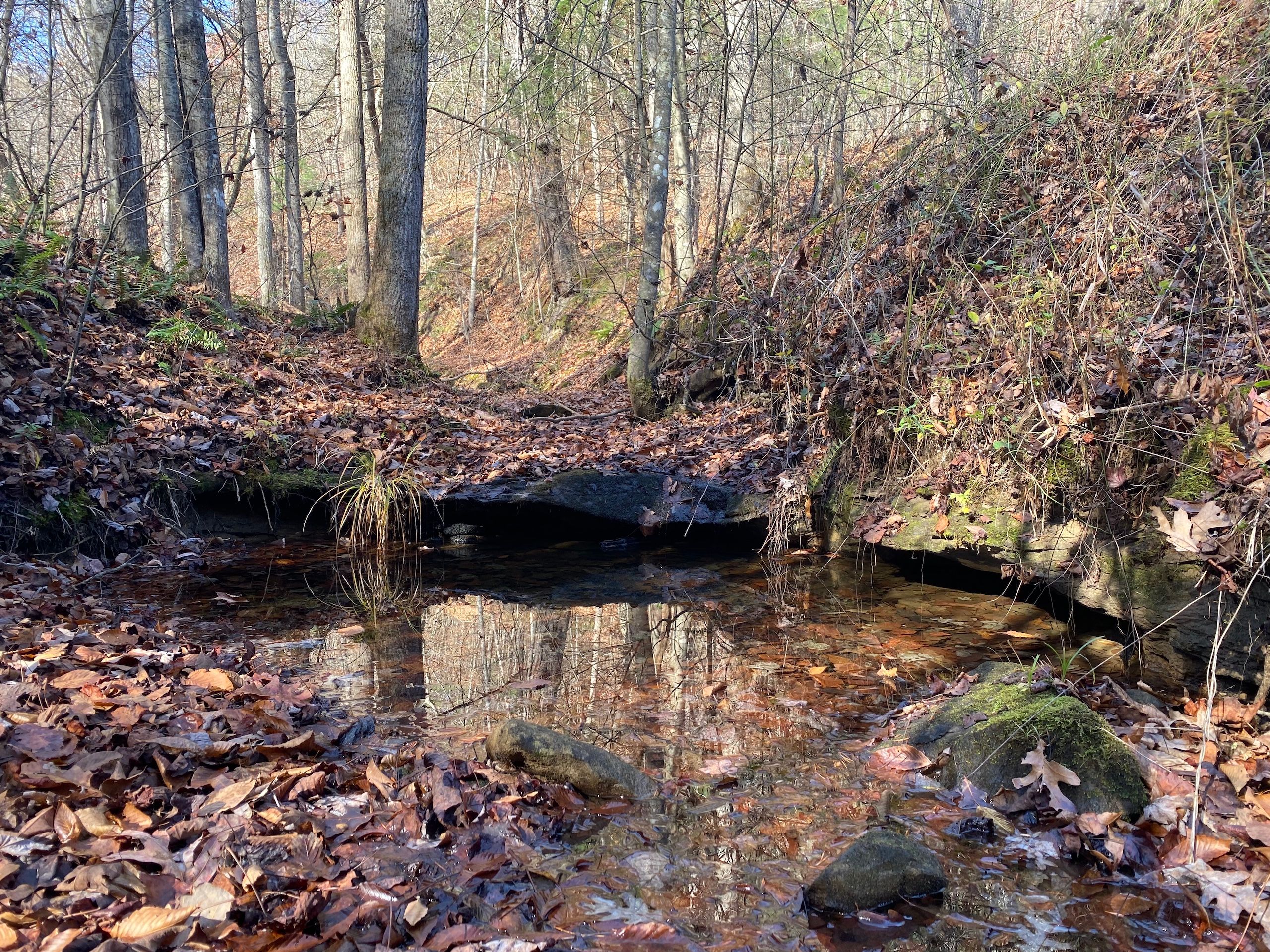 46 acres in Magoffin County, Kentucky