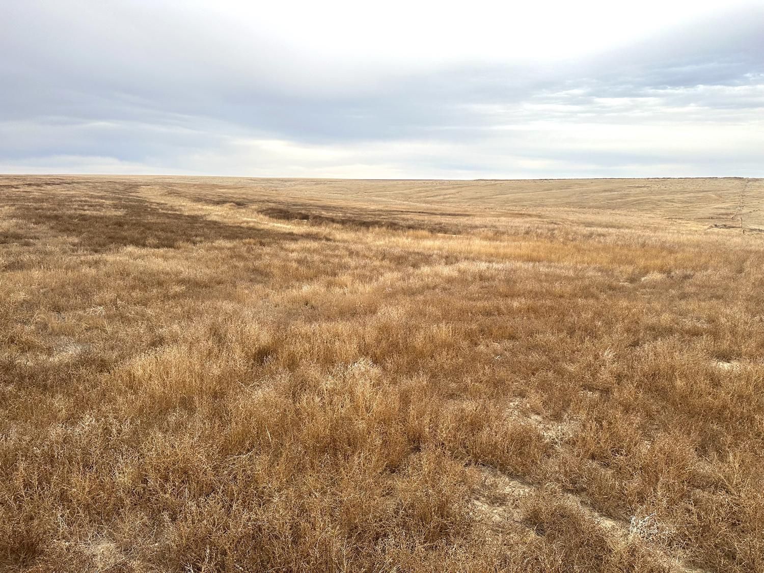 160 acres in Winona, KS, 67764