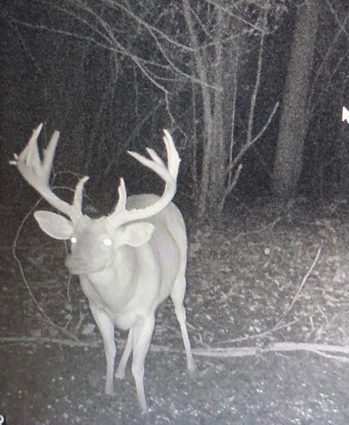 220 acres in East Carroll Parish, Louisiana