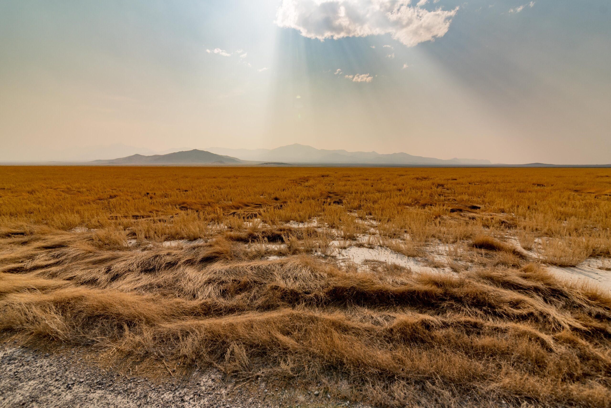 159 acres in Lucin, UT, 84083