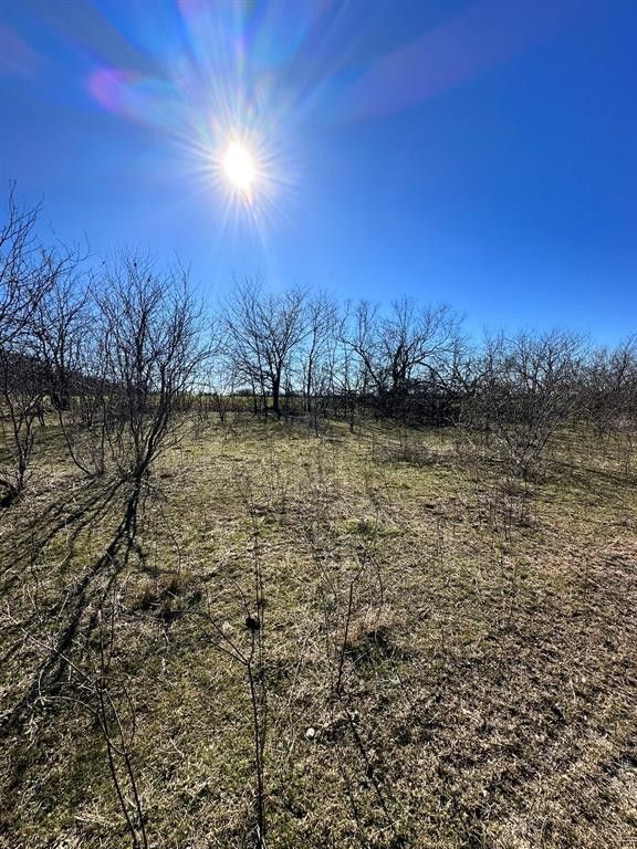 81.08 acres in Grayson County, Texas