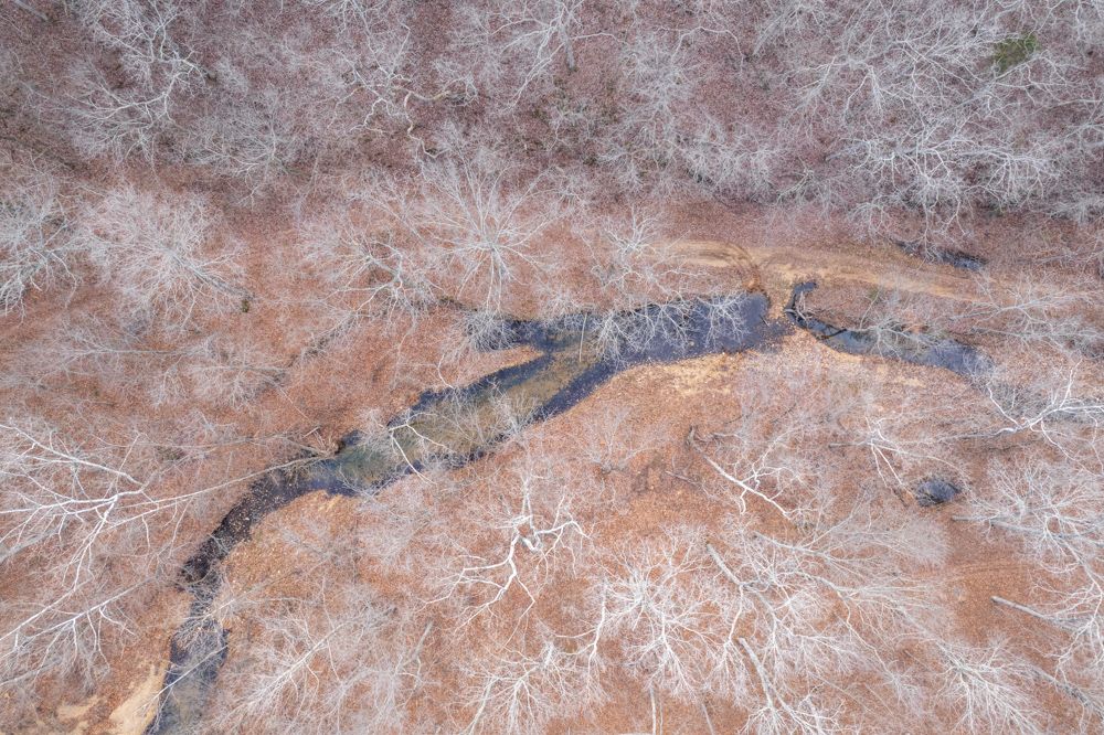 40 acres in Saint Francois County, Missouri