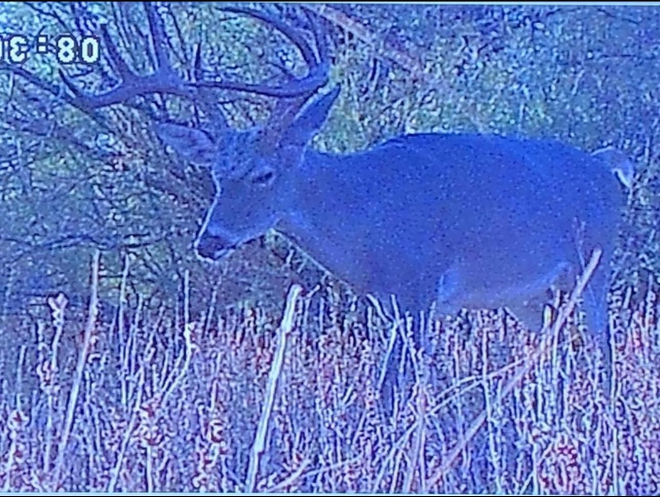 190 acres in Val Verde County, Texas