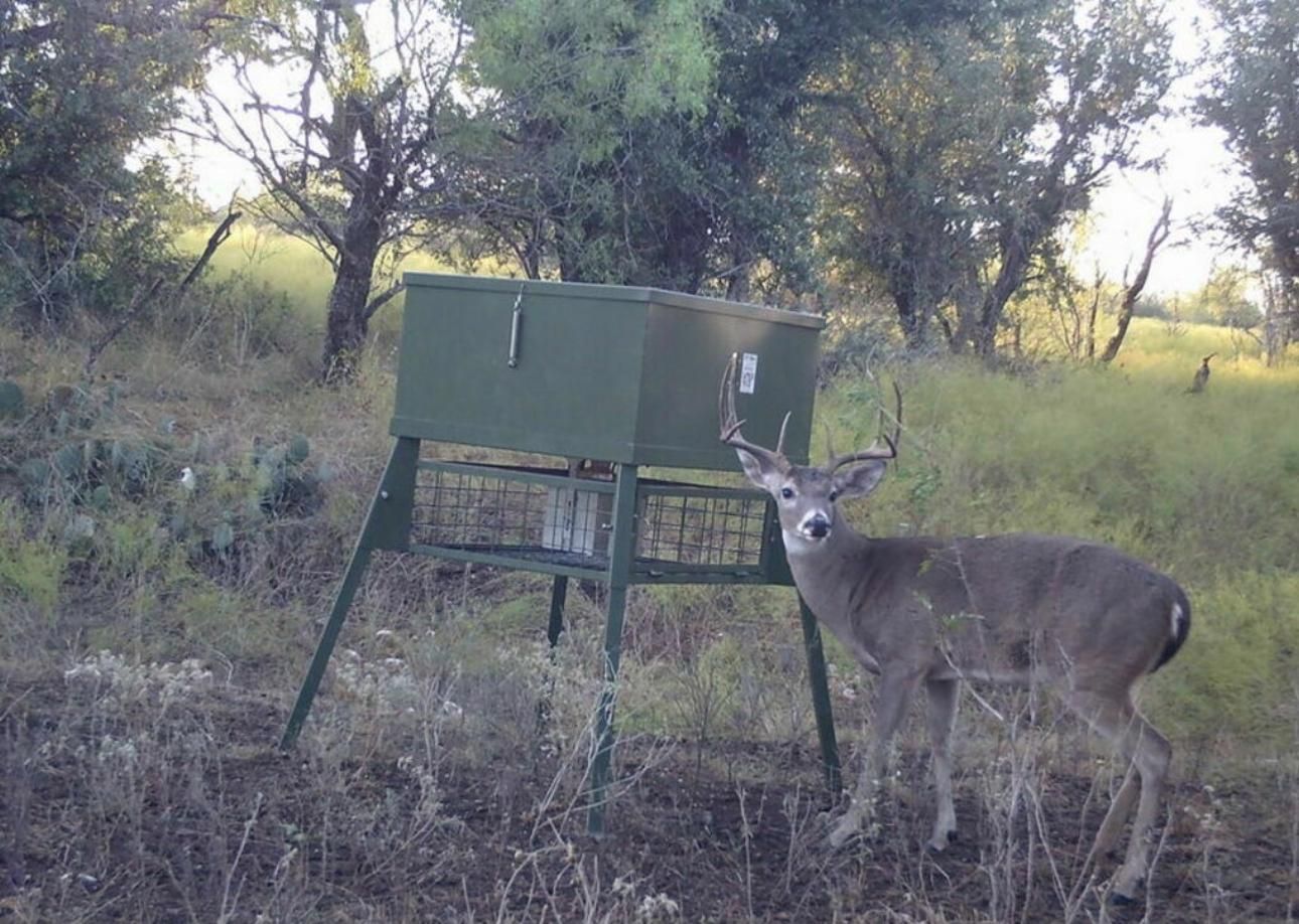 20.04 acres in Menard County, Texas