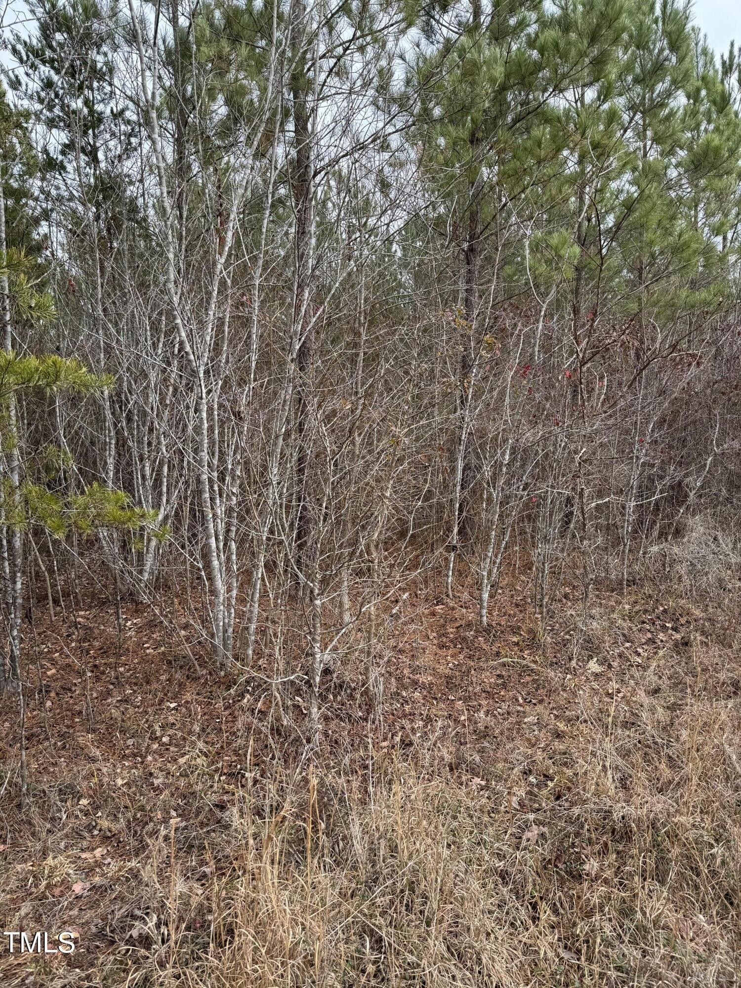 11 acres in Caswell County, North Carolina