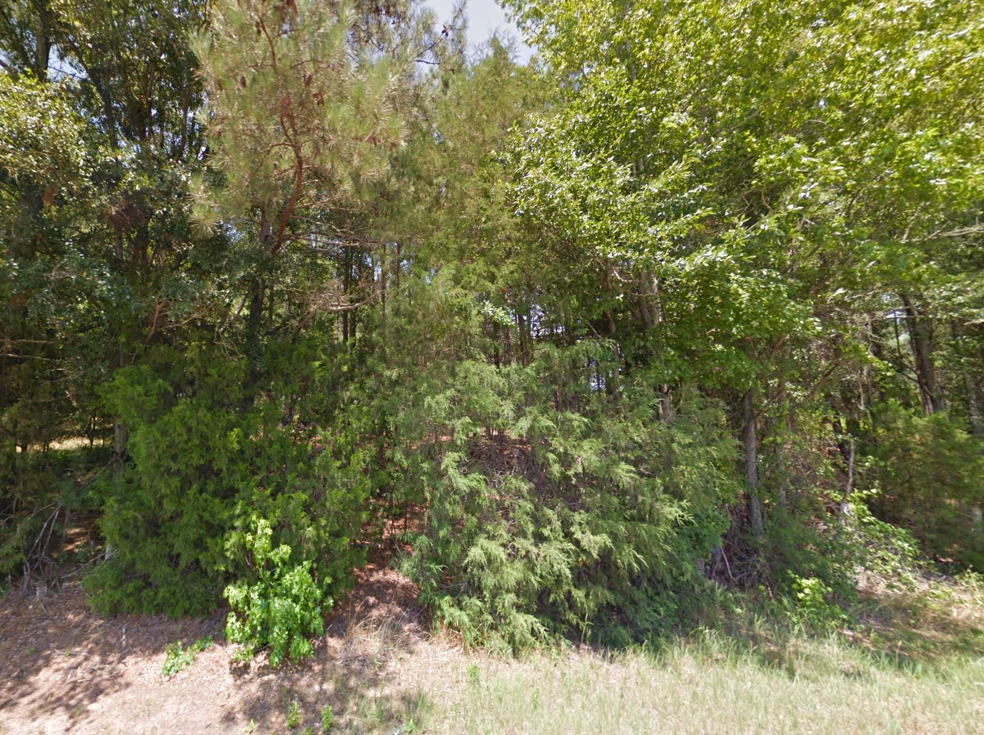 2 acres in Abbeville County, South Carolina