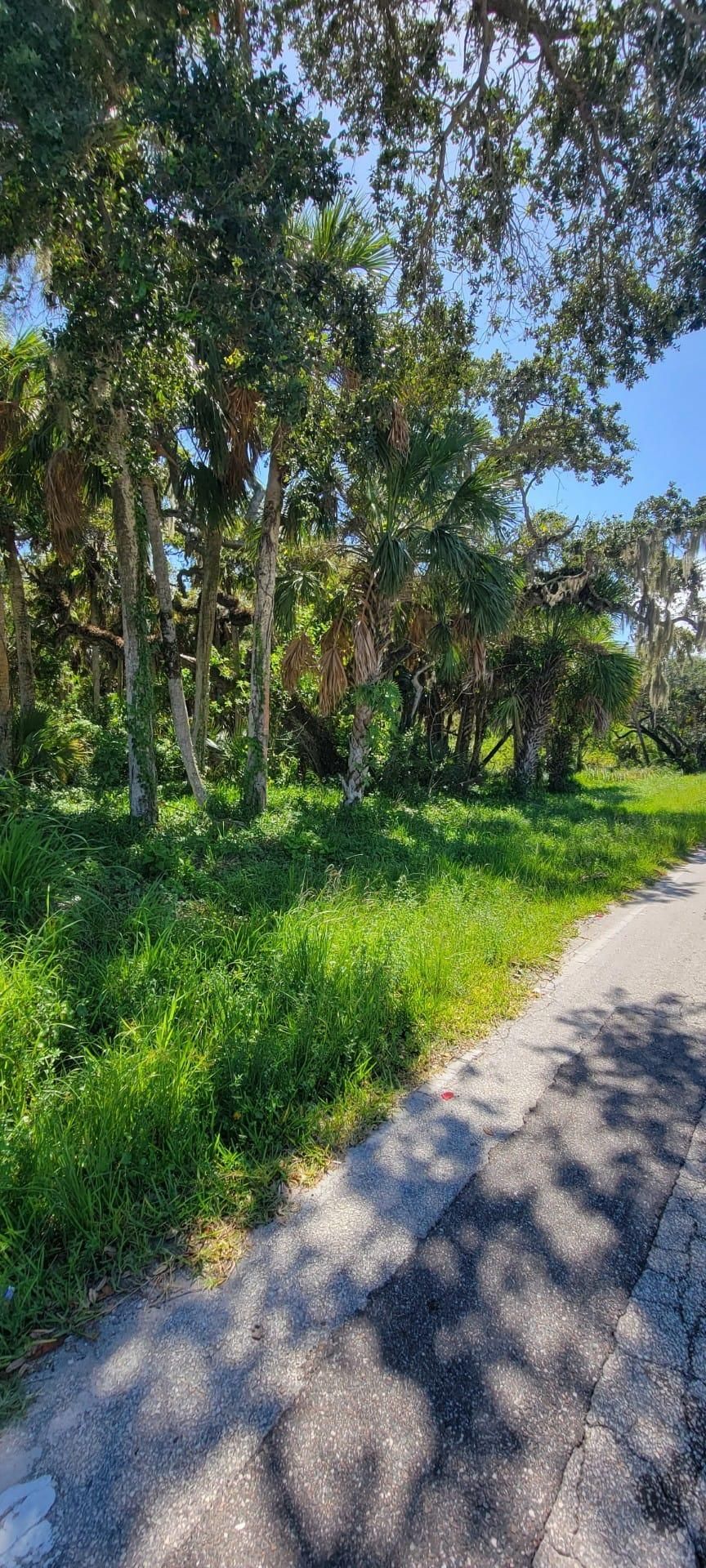2.7 acres in Brevard County, Florida