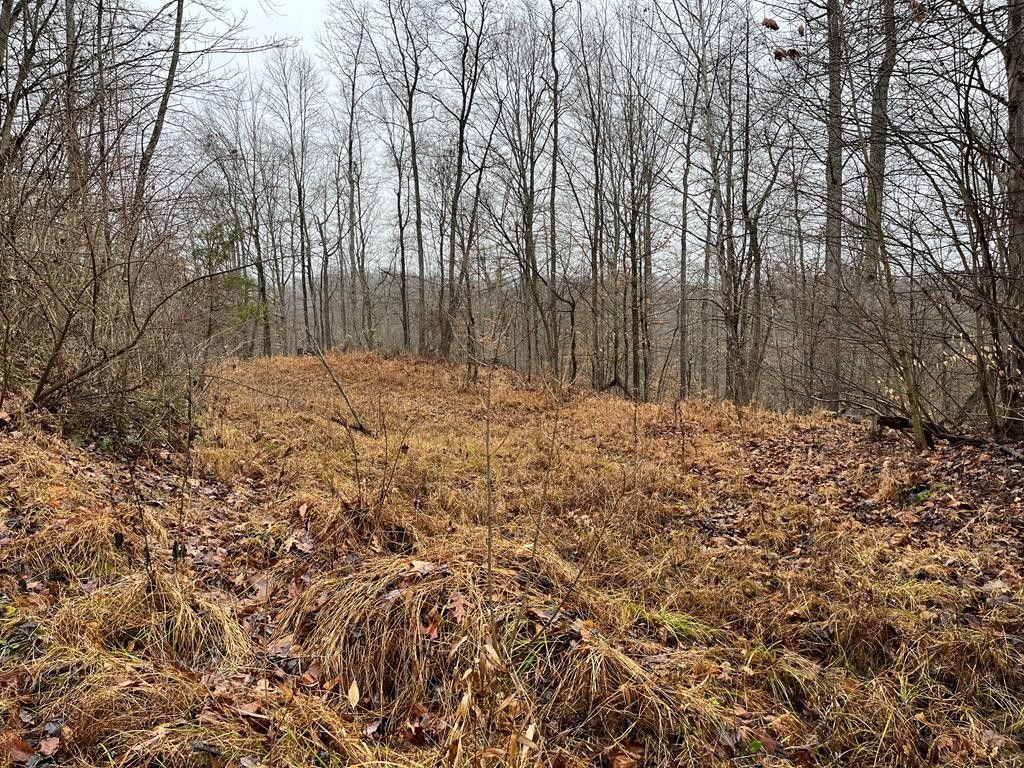 85 acres in Tyler County, West Virginia