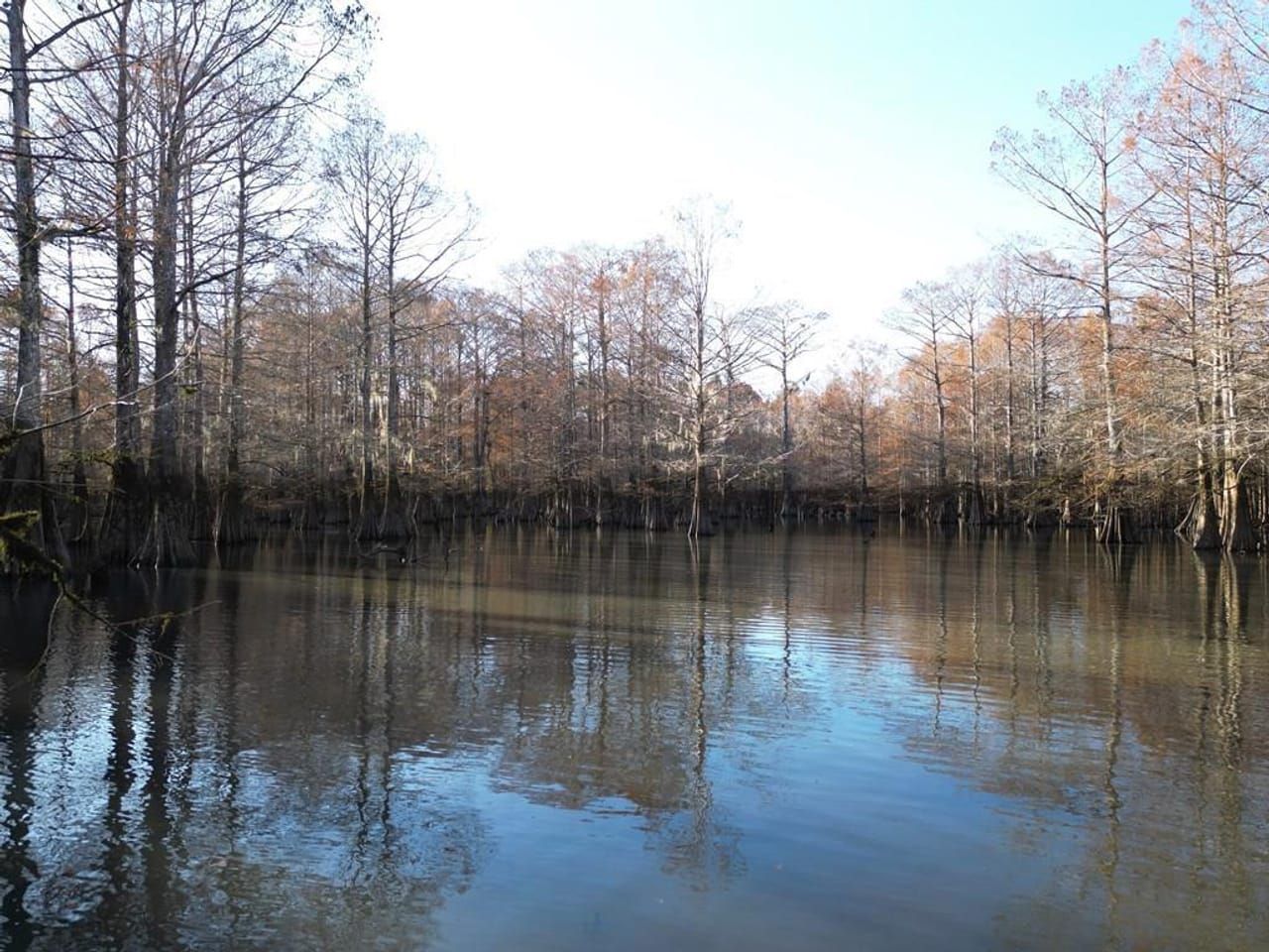 487 acres in Washington Parish, Louisiana