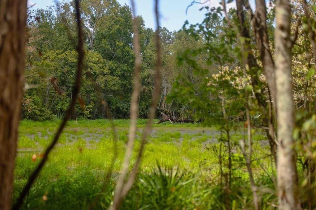 2 Natalbany Road, Saint Gabriel, LA 70776 MLS 140557