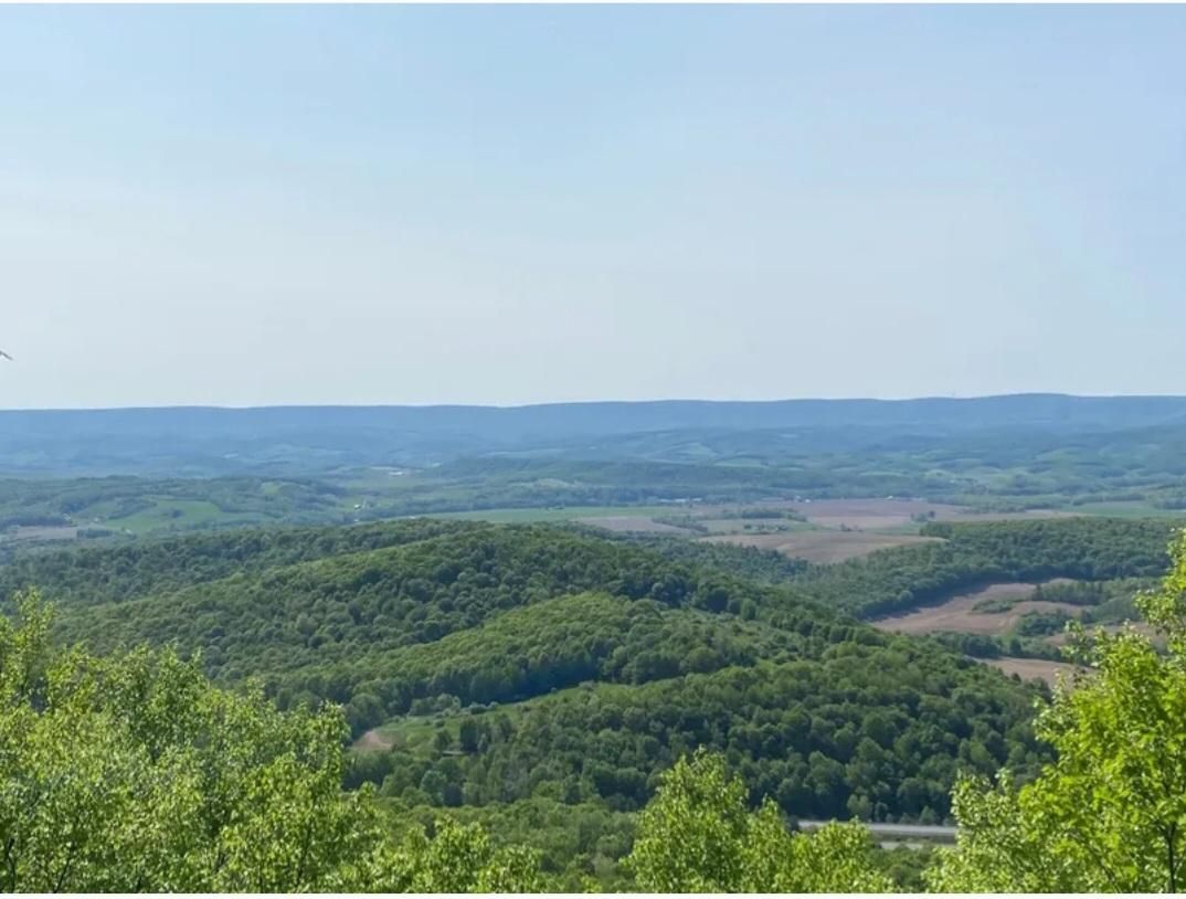 Pennsylvania 869, Osterburg, PA 16667 MLS 088542