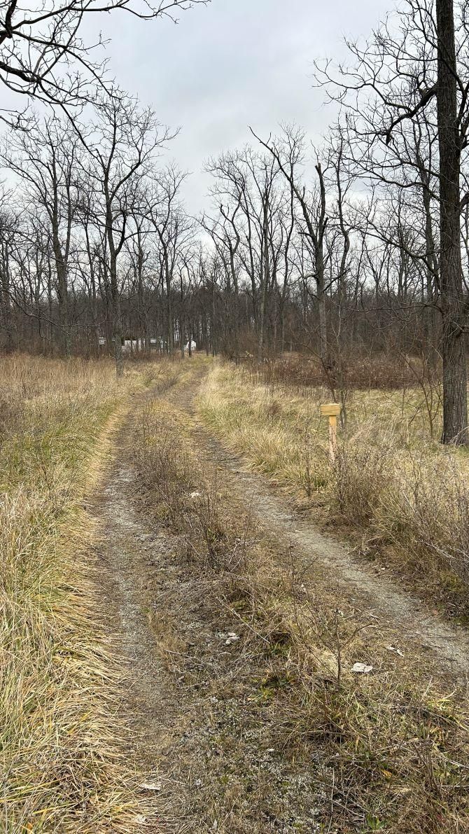 17 acres in Clinton County, Ohio