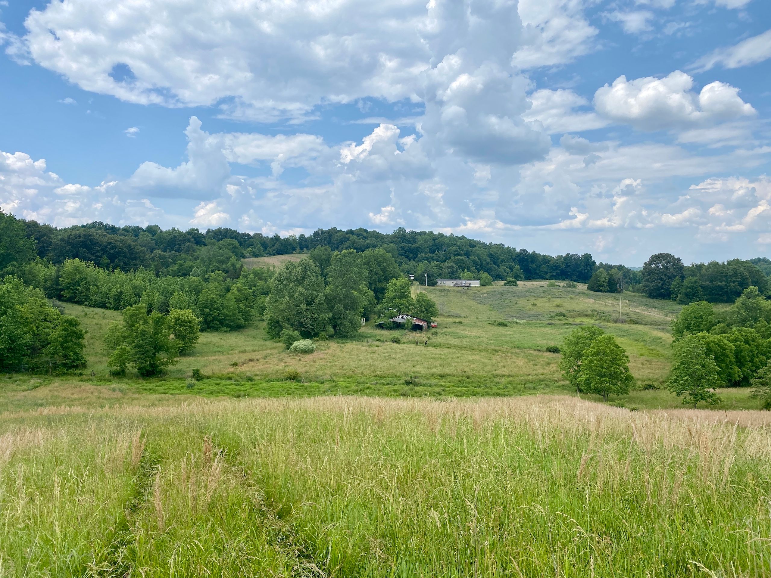 103 acres in Alexander County, Illinois